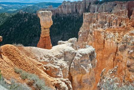 WESTERN STATES ROADTRIP