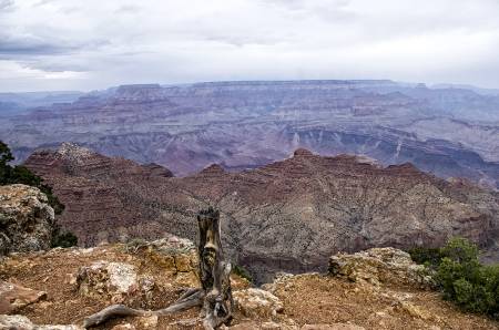 WESTERN STATES ROADTRIP