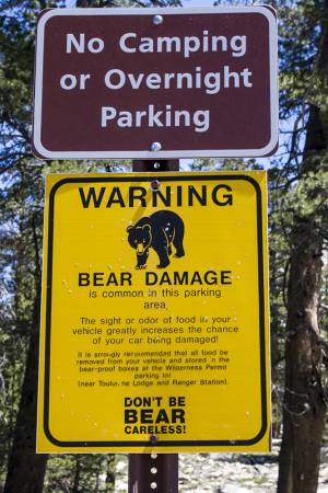 YOSEMITE_10