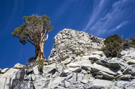YOSEMITE_5