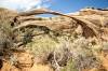 ARCHES_7.jpg