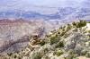 DESERT_VIEW_3.jpg