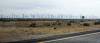 WINDMILLS1.jpg