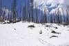 YELLOWSTONE_7.jpg