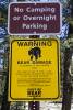 YOSEMITE_10.jpg