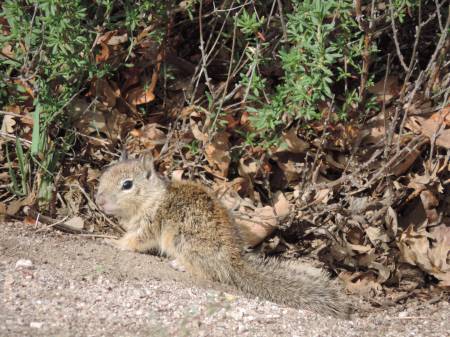 image1173