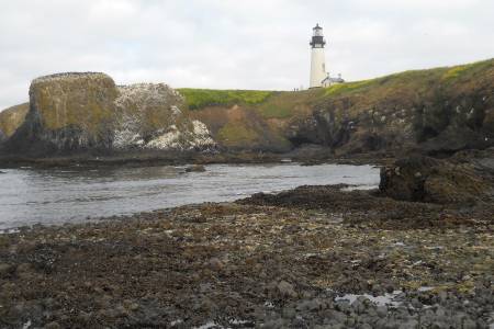 Yaquina Head Lighthouse near Newport, Oregon