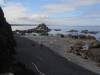 23-Cobble_beach_visitors.JPG