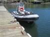 33-Whalewatch_zodiac.JPG