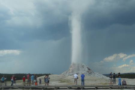 White Dome Geyser - Yellowstone NP