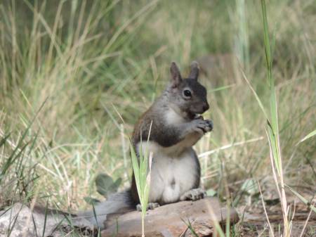 image1275