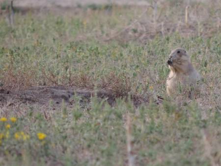 image81