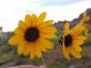 image112.jpeg