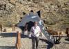 image114.jpeg