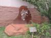 image118.jpeg