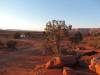 image130.jpeg
