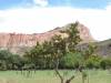 image15.jpeg