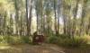 image29.jpeg