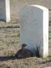 image67.jpeg