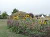 image77.jpeg