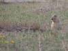 image81.jpeg