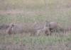image82.jpeg
