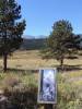 image99.jpeg