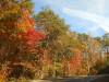 11_-_Full_Fall_Foliage.JPG