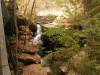 46_-_Rainbow_Falls_at_Dismals_Canyon.JPG