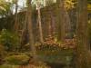 47_-_Dismals_Canyon_Walls.JPG