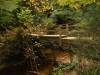 51_-_Footbridge_built_on_fallen_tree.JPG