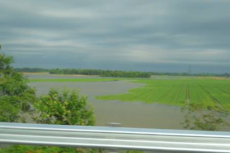 Storm aftermath near Paducah