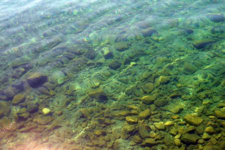 Clear Water in Flathead Lake