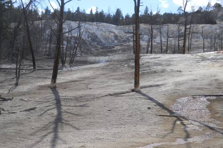 Trail Springs