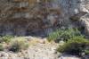 36_-_Petroglyphs.JPG