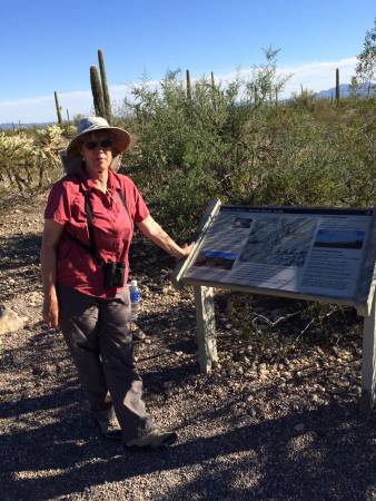 Victoria Mine TH - Organ Pipe Cactus NM