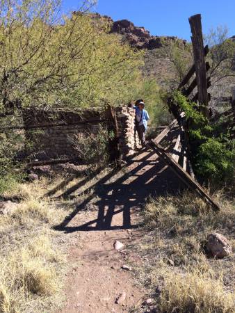 Alamo Canyon Tr corral