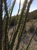 image153.jpeg