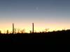 image160.jpeg