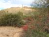 image165.jpeg