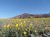 image177.jpeg