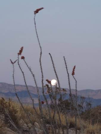 Big Bend Full Moon