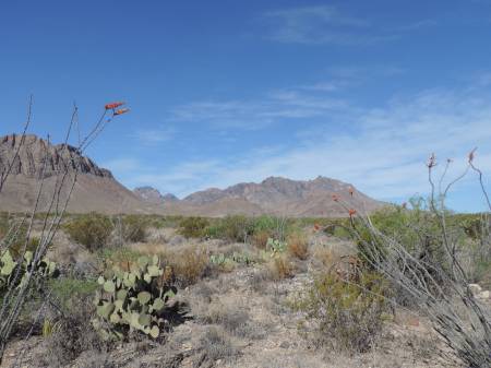 View toward Chisos Mtns