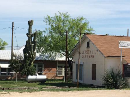 Langtry Saguaro