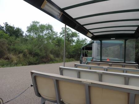 Santa Ana tram