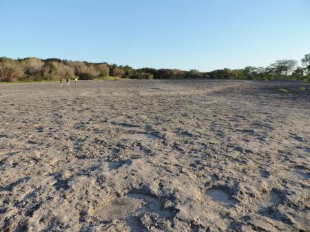 McKinney Falls - rock ledge