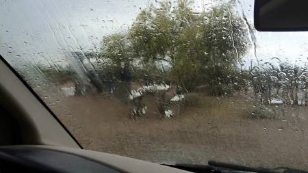 Usery windshield