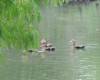 image255.jpeg