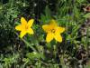 image291.jpeg