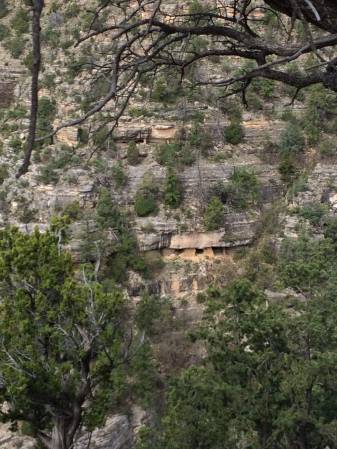 Walnut Canyon ruins